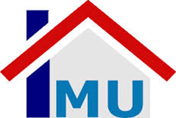 IMU